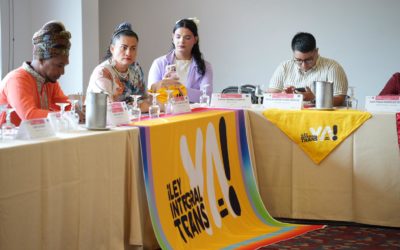 Liderazgos LGBTIQ+ en movimiento: un llamado a la participación política sin violencia