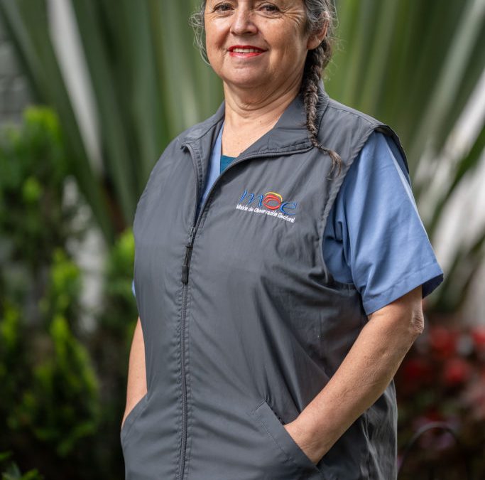 Josefa Gómez Casas – Apoyo logístico